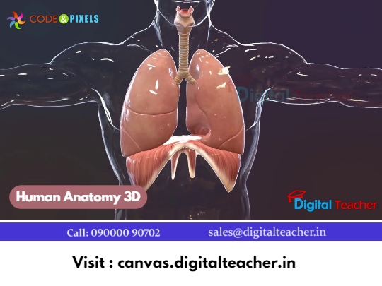 Human Anatomy 3D FreeCourse Digital Teacher